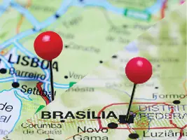 Professional Portuguese Translators