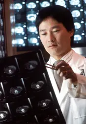 Medical Translation Services Image